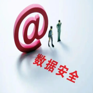 AI 应用网络安全防护｜数据脱敏加密｜接口权限方案｜定制化安全技术服务